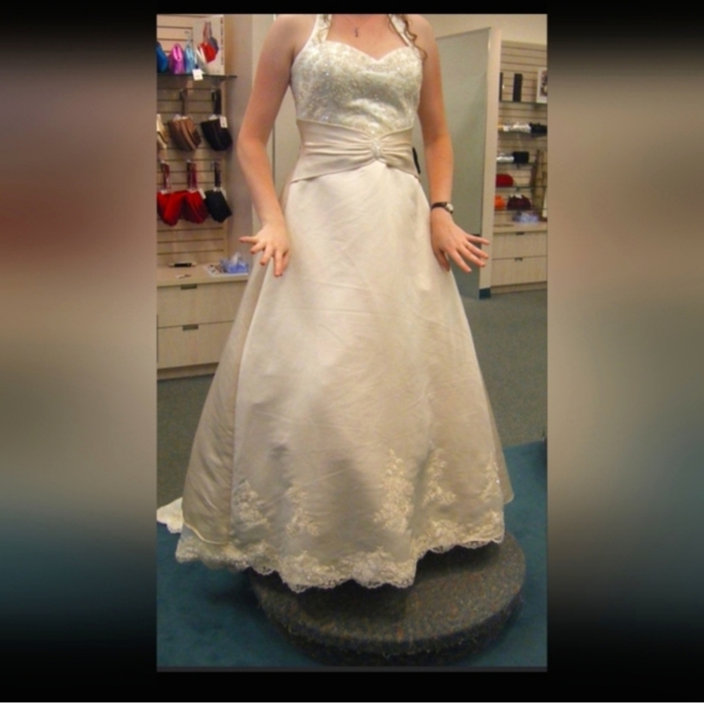 David's Bridal Ivory/Champagne Beaded Wedding Gown, Size 14, Style#E9370, NWOT